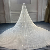 High Quality Wedding Veil With Comb Cathedral Bridal Veil Long Sparkle Veil Luxury Veil Bridal Veils Real Photo - $189.90