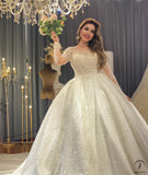 Luxury Embroidered V Neck Long Sleeves Wedding Dresses OS02201 - Wedding & Bridal Party Dresses $1,399.99