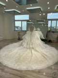 Ostty Luxury White Short Sleeves Wedding Dress OS702 - Quinceanera Dress $1,299